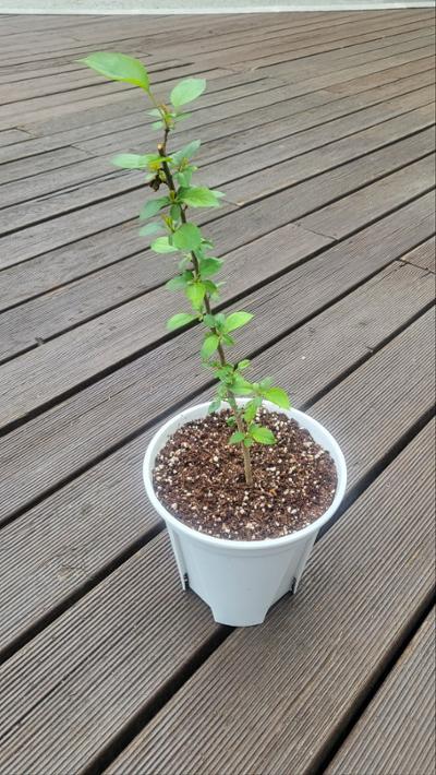 건강치유 체험행사 (5.10.~5.31)